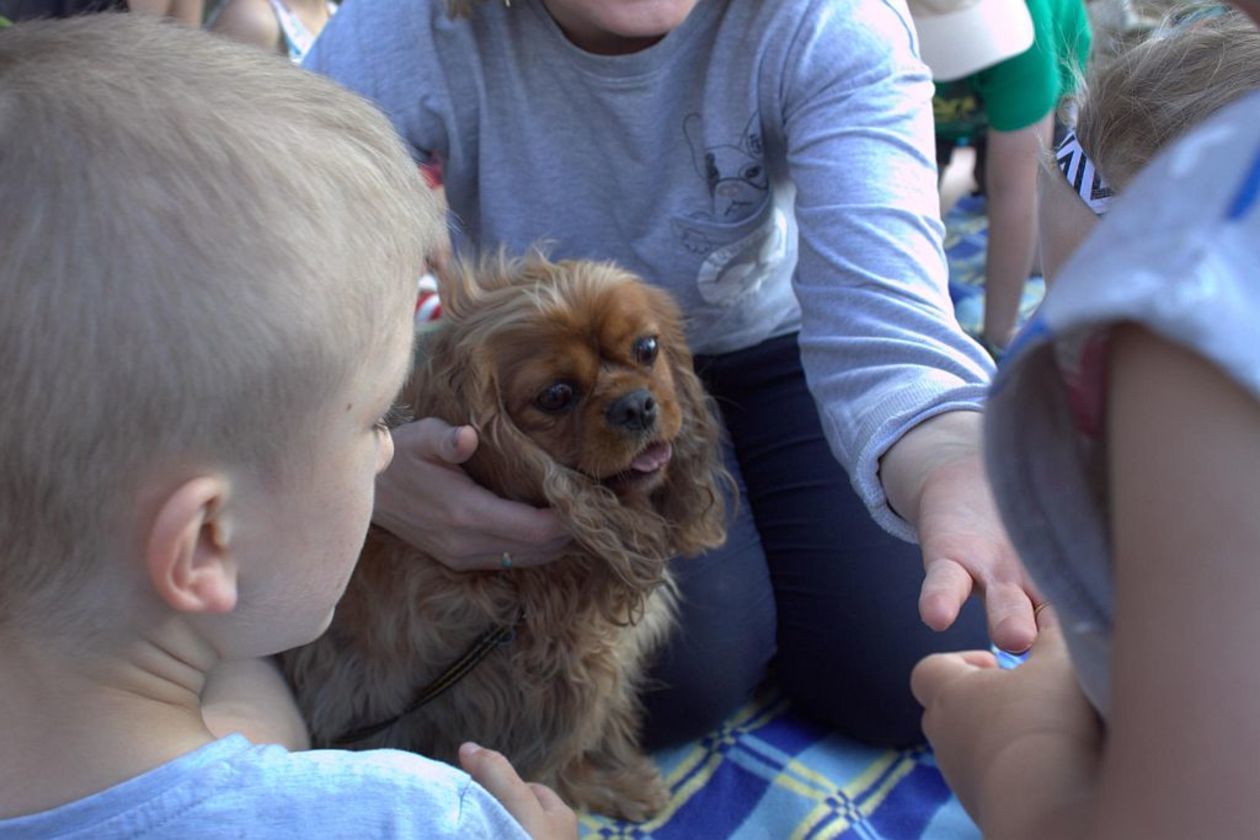  Piknik Rodzinny w Przedszkolu Specjalnym nr 11 w Lublinie (zdjęcie 1) - Autor: Przedszkole Specjalne nr 11 w Lublinie