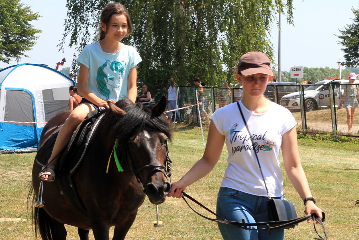  Dzień Otwartych Drzwi LODR w Końskowoli, Agropokazy 2019  (zdjęcie 1) - Autor: Radosław Szczęch