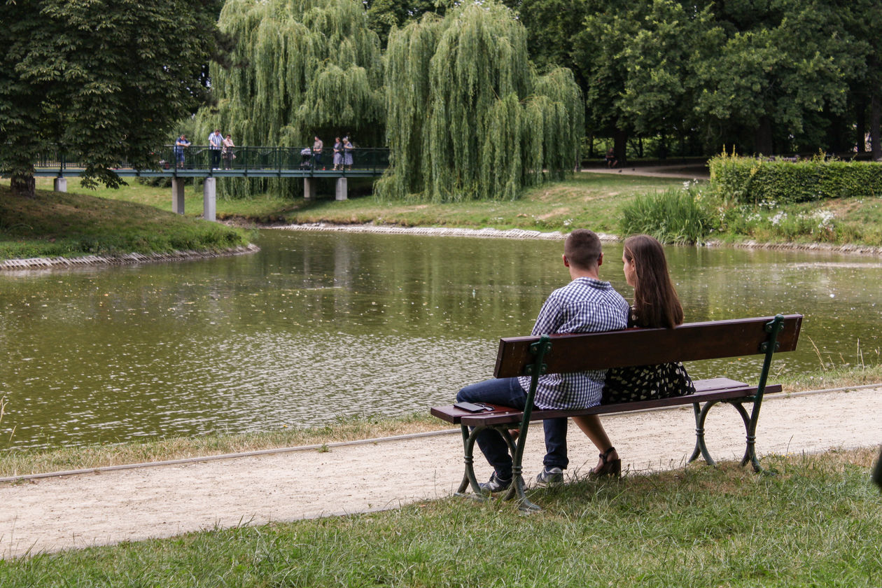  Miejski staw w Zamościu (zdjęcie 1) - Autor: Kazimierz Chmiel