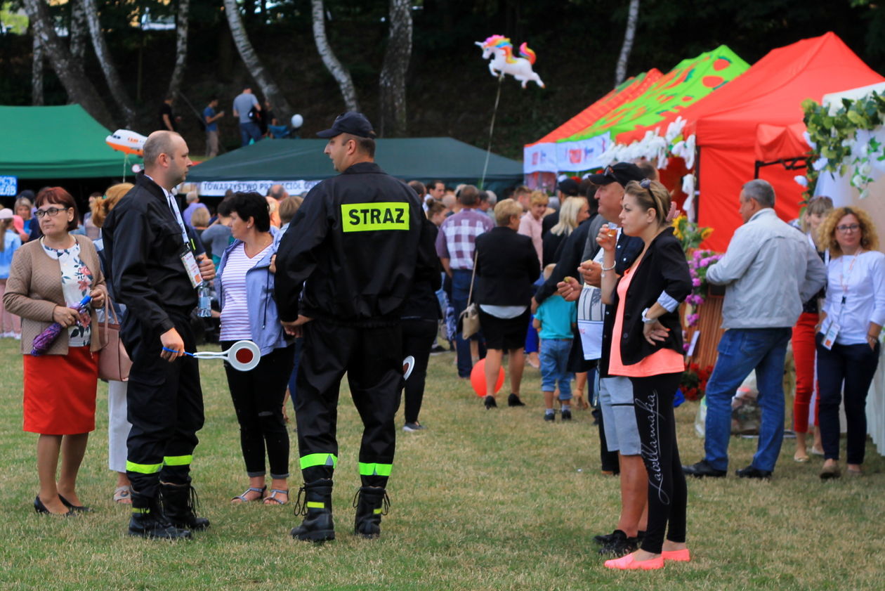  Święto Truskawki 2019 (zdjęcie 1) - Autor: Radosław Szczęch