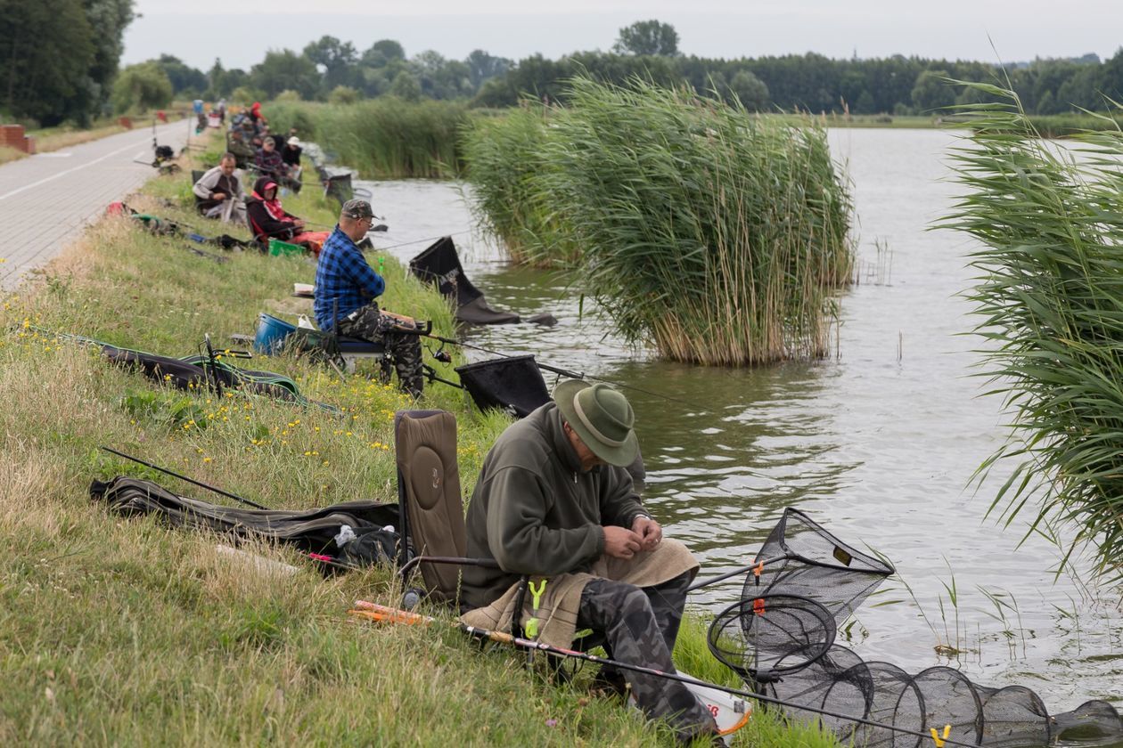  Dni Kraśnika 2019 (zdjęcie 1) - Autor: Michał Lenart