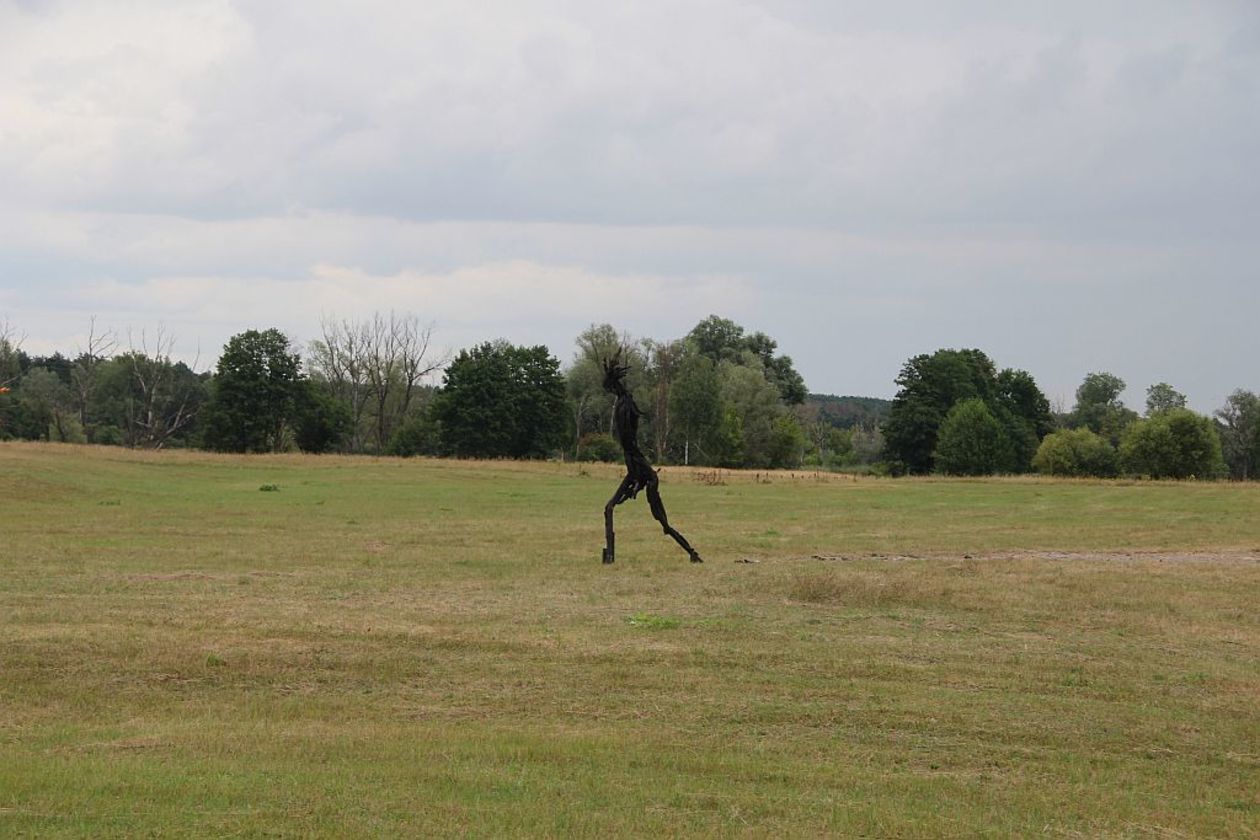  Landart Festiwal 2019 (zdjęcie 1) - Autor: Ewelina Burda