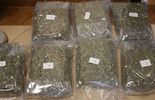 Policjanci zabezpieczyli 40 kg marihuany (zdjęcie 2)