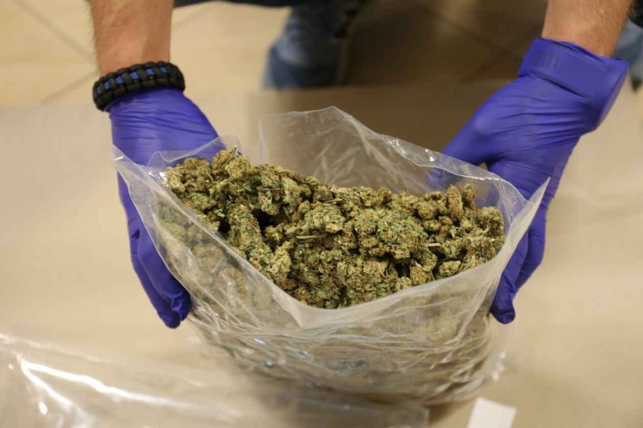  Policjanci zabezpieczyli 40 kg marihuany (zdjęcie 1) - Autor: Policja