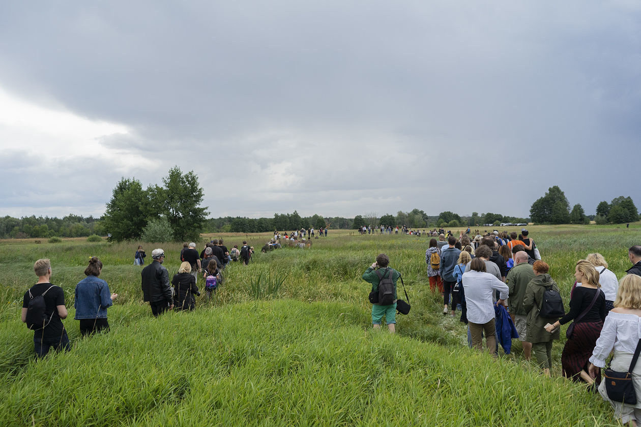  Landart Festiwal 2019 nad Bugiem (zdjęcie 1) - Autor: Michał Siudziński