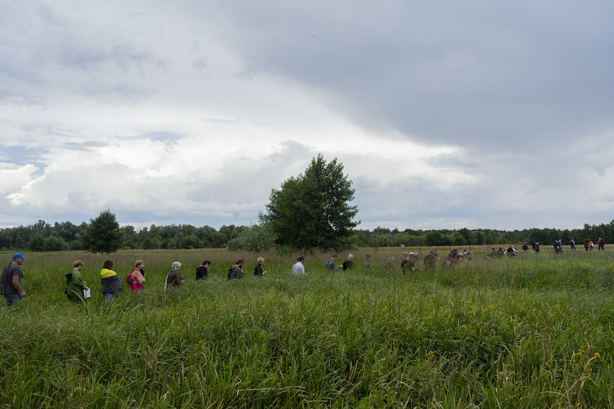  Landart Festiwal 2019 nad Bugiem (zdjęcie 1) - Autor: Michał Siudziński