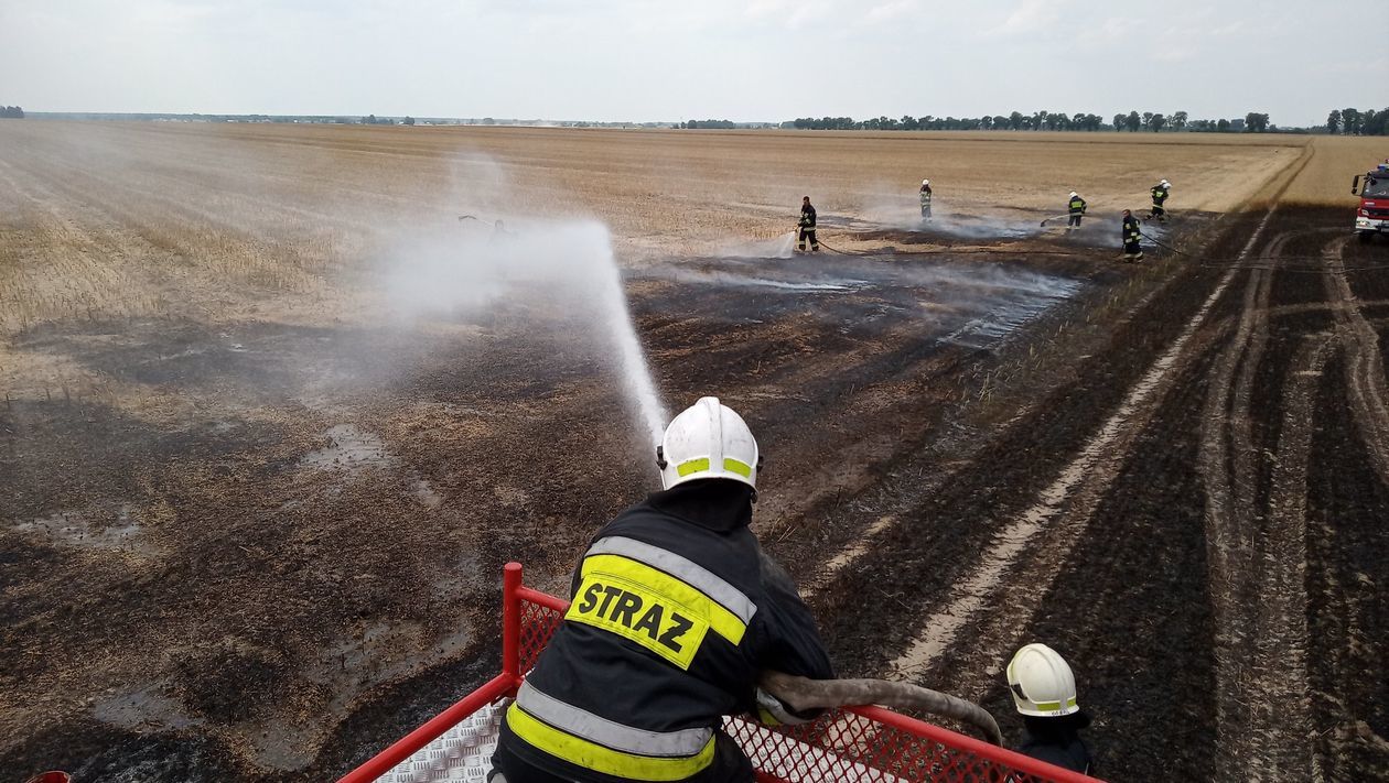  Pożar zboża w miejscowości Marynin koło Radzynia Podlaskiego  (zdjęcie 1) - Autor: OSP Paszki Duże