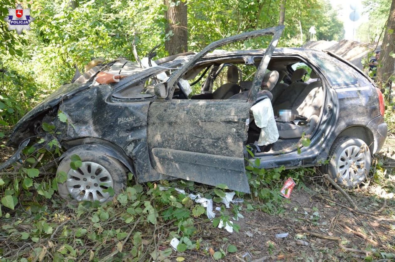  Wypadek w miejscowości Krzak (zdjęcie 1) - Autor: Policja