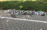 Ile można zarobić na zbieraniu puszek w Lublinie? (zdjęcie 5)