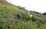 Usunięto roślinność przy rzece Bystrzyca (zdjęcie 5)