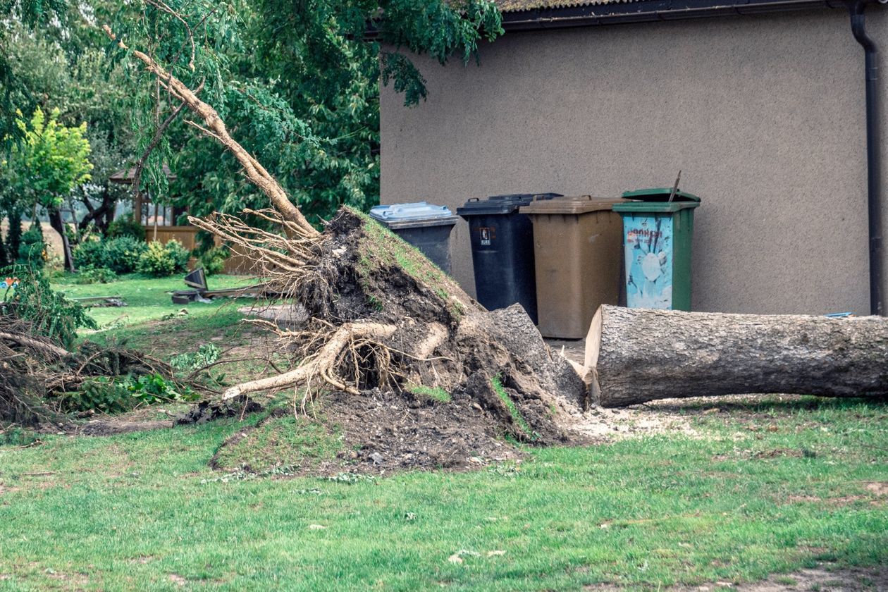  Sprzątanie po burzy w Bonowie i Siostrzytowie (zdjęcie 1) - Autor: Franek Goszczyński