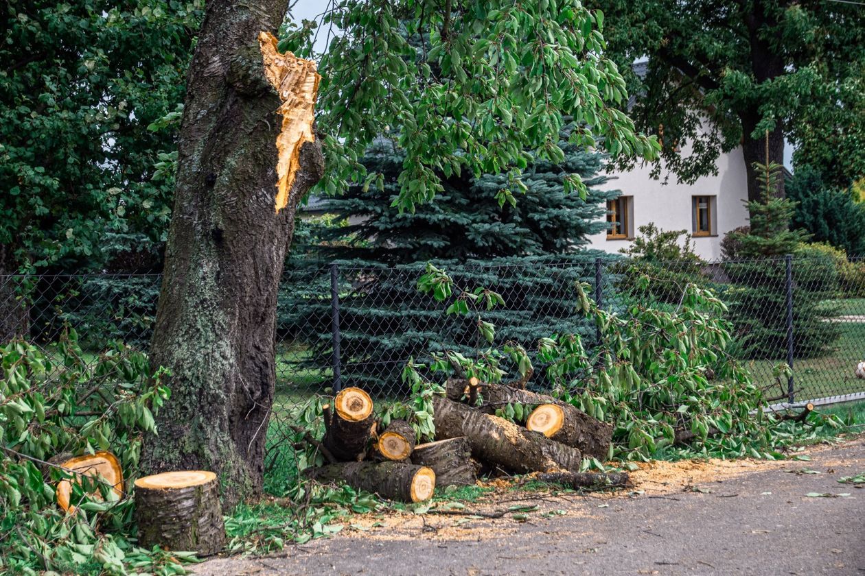  Sprzątanie po burzy w Bonowie i Siostrzytowie (zdjęcie 1) - Autor: Franek Goszczyński