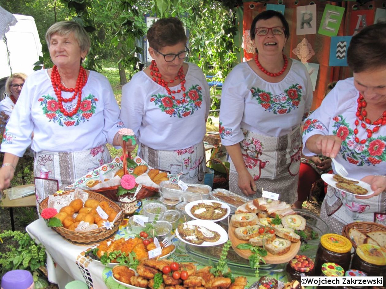  Bolkowanie 2019 (zdjęcie 1) - Autor: Wojciech Zakrzewski