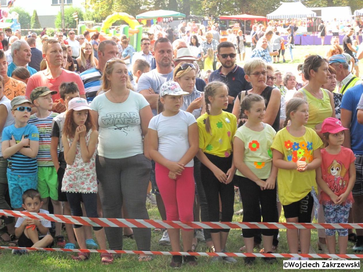  Bolkowanie 2019 (zdjęcie 1) - Autor: Wojciech Zakrzewski