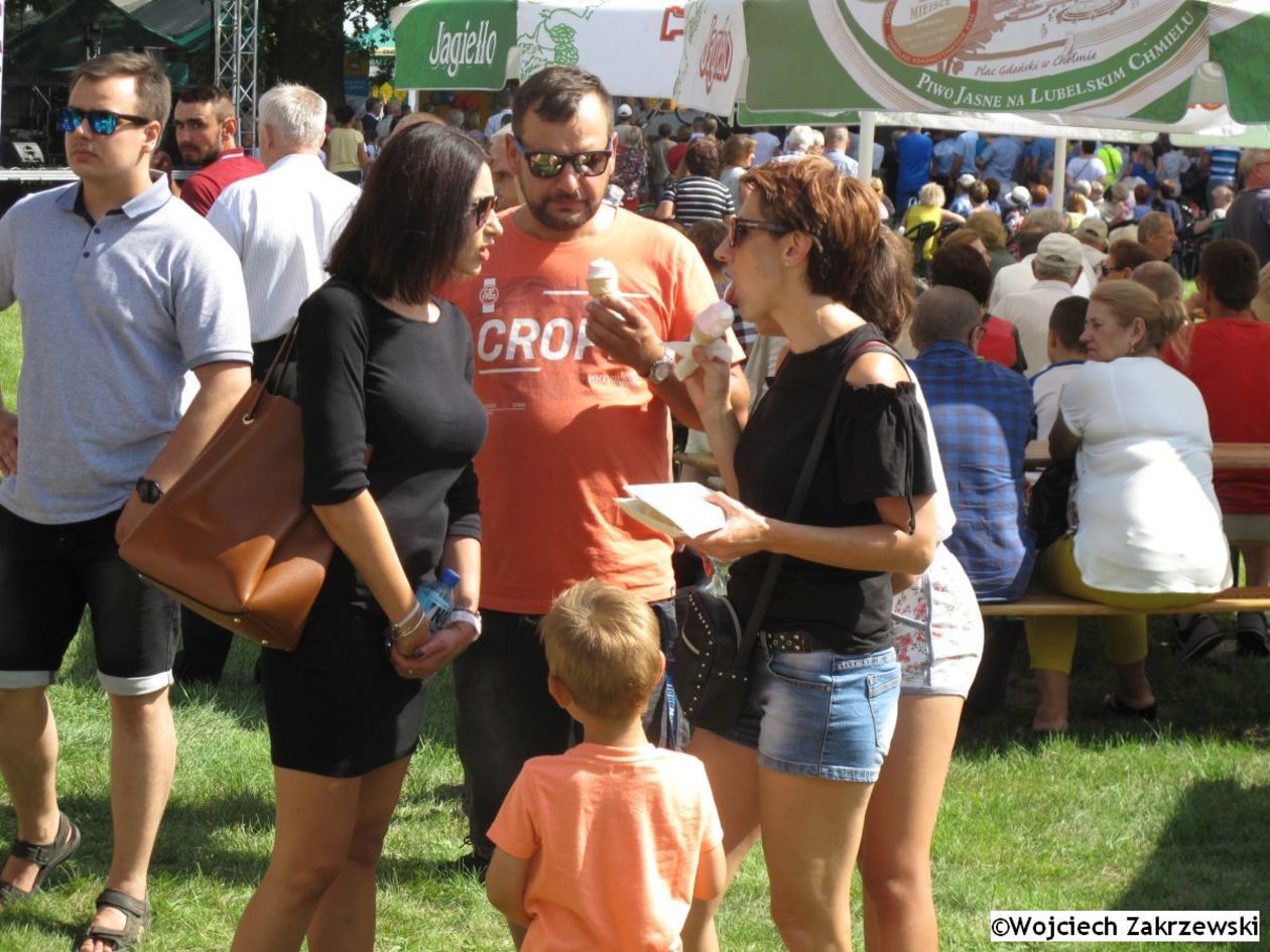  Bolkowanie 2019 (zdjęcie 1) - Autor: Wojciech Zakrzewski