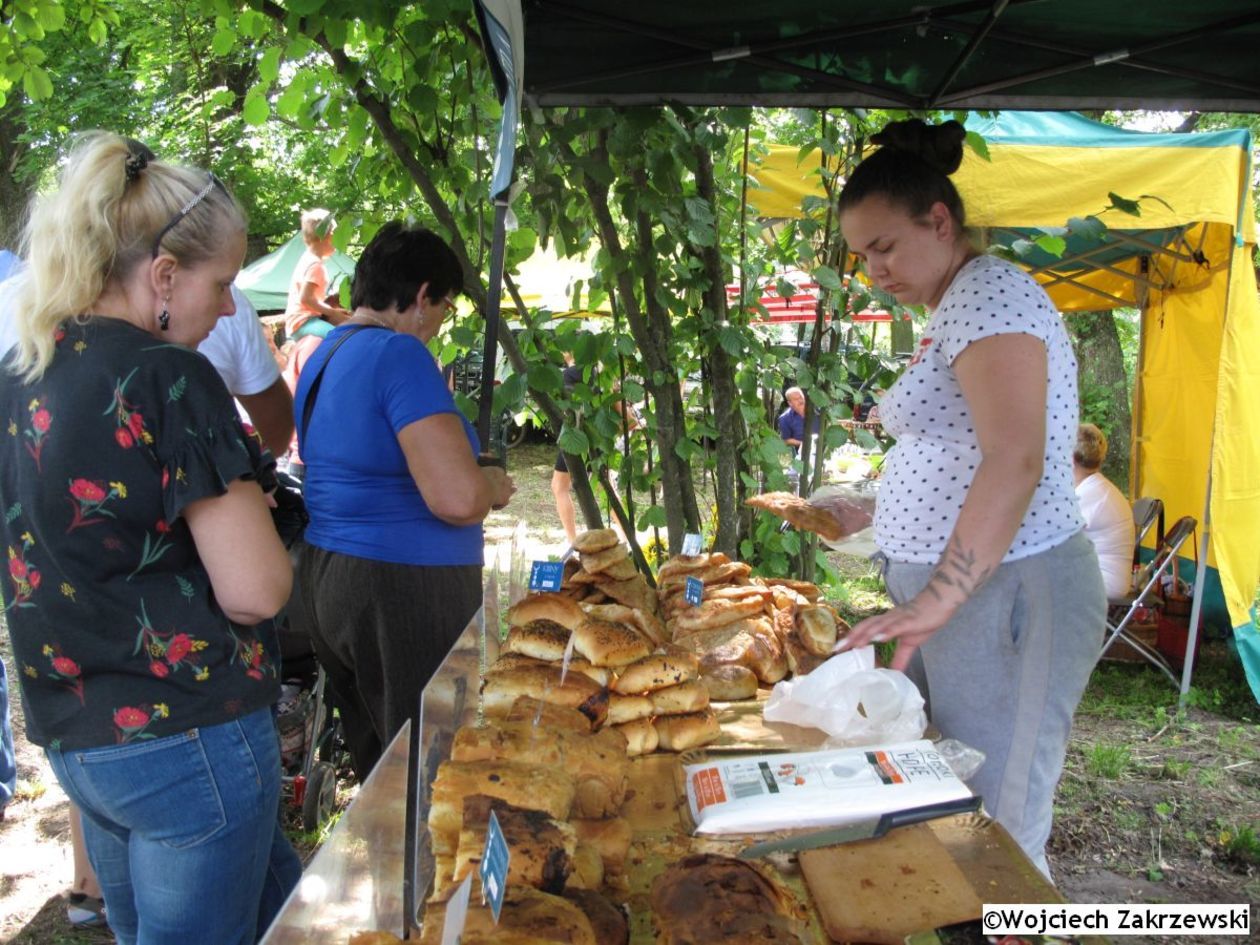  Bolkowanie 2019 (zdjęcie 1) - Autor: Wojciech Zakrzewski