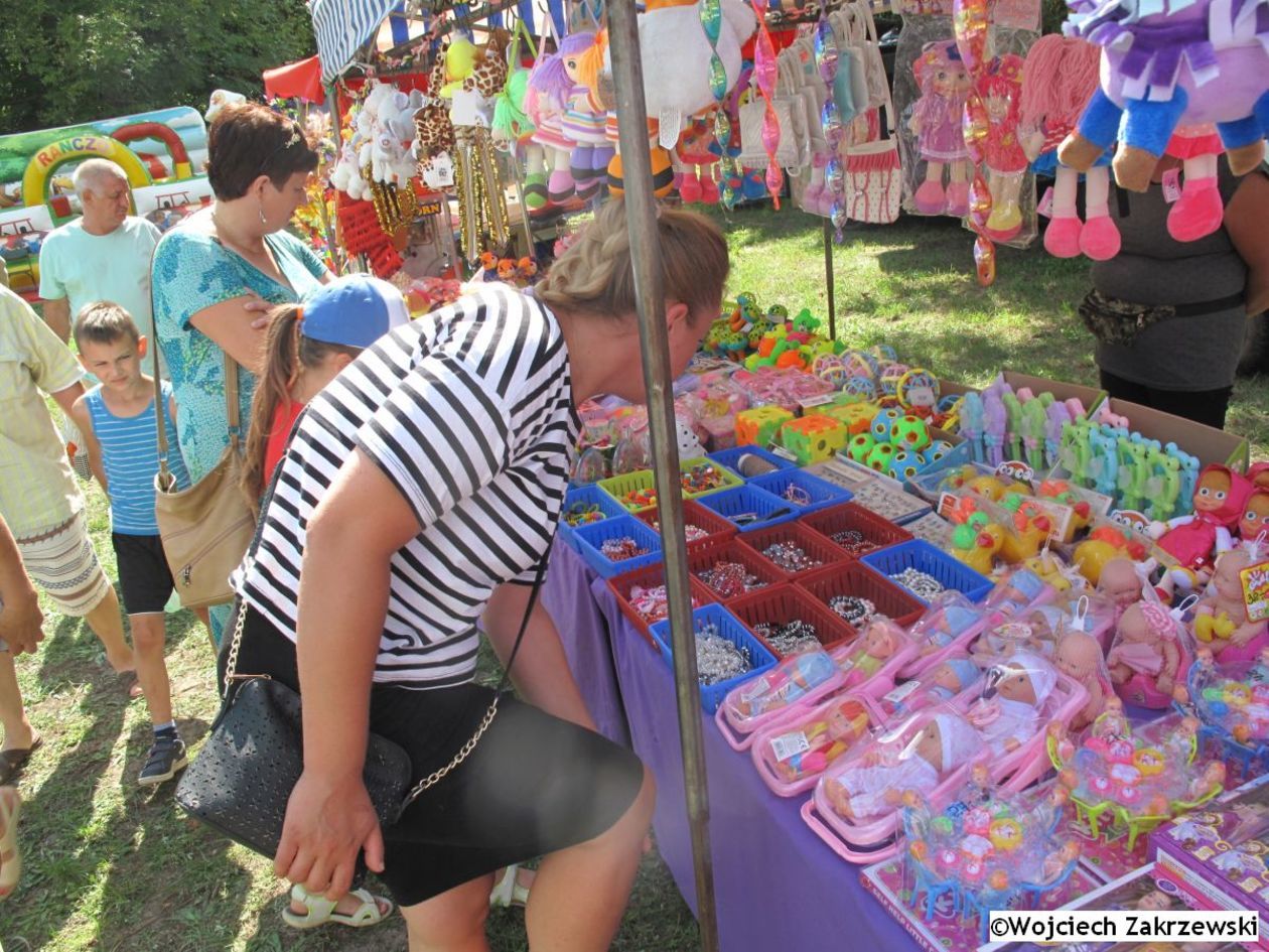  Bolkowanie 2019 (zdjęcie 1) - Autor: Wojciech Zakrzewski