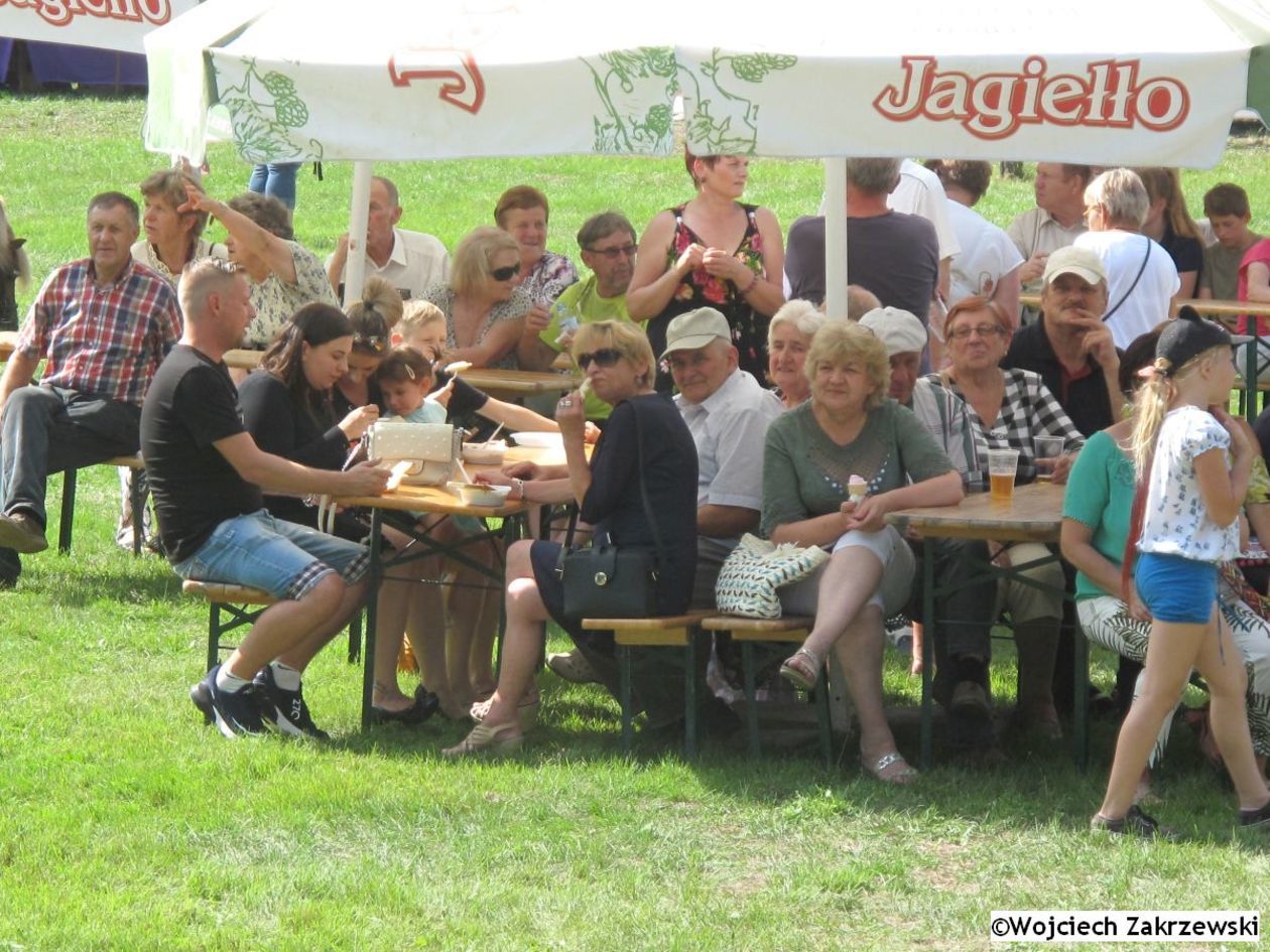  Bolkowanie 2019 (zdjęcie 1) - Autor: Wojciech Zakrzewski