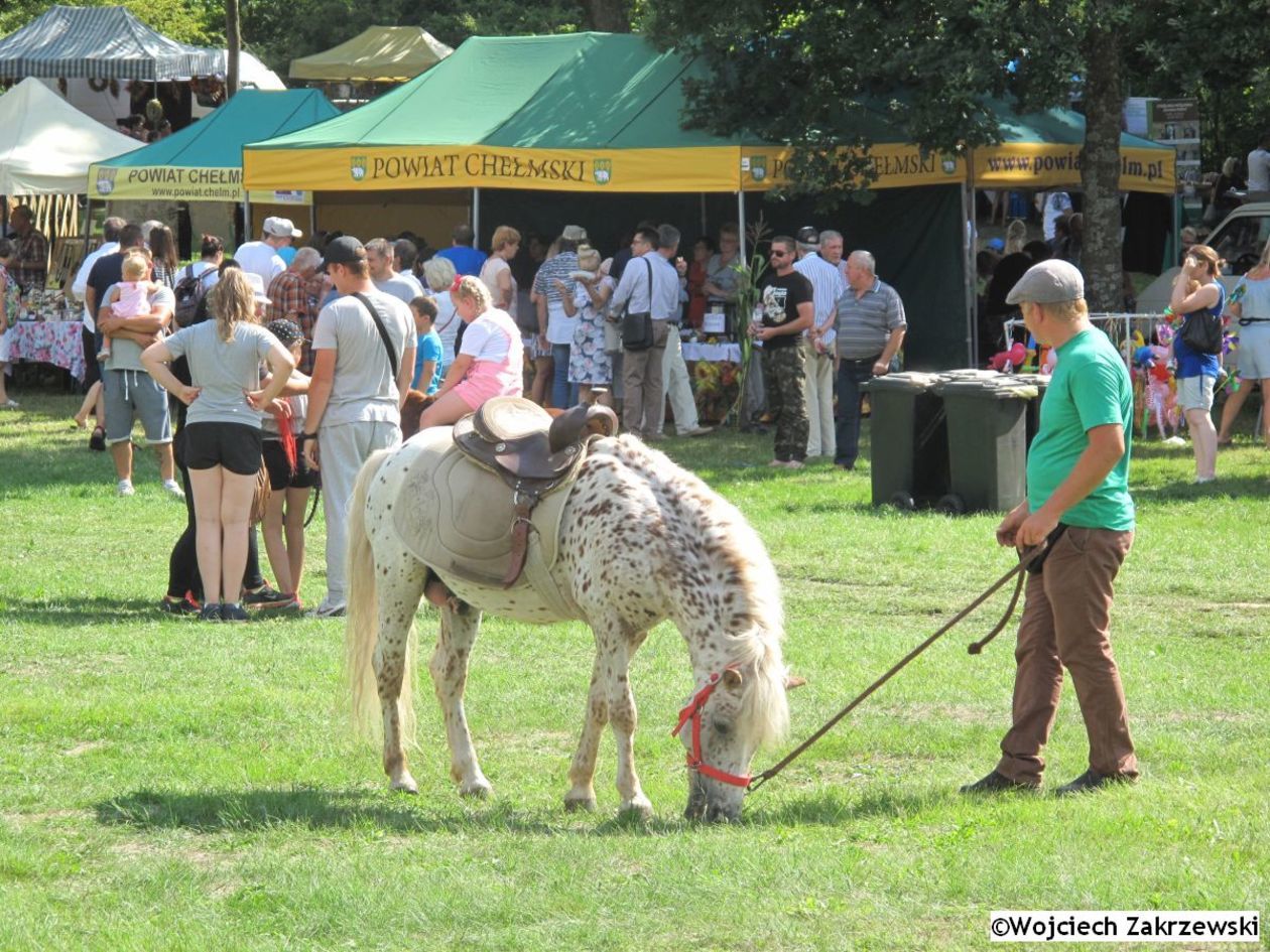  Bolkowanie 2019 (zdjęcie 1) - Autor: Wojciech Zakrzewski