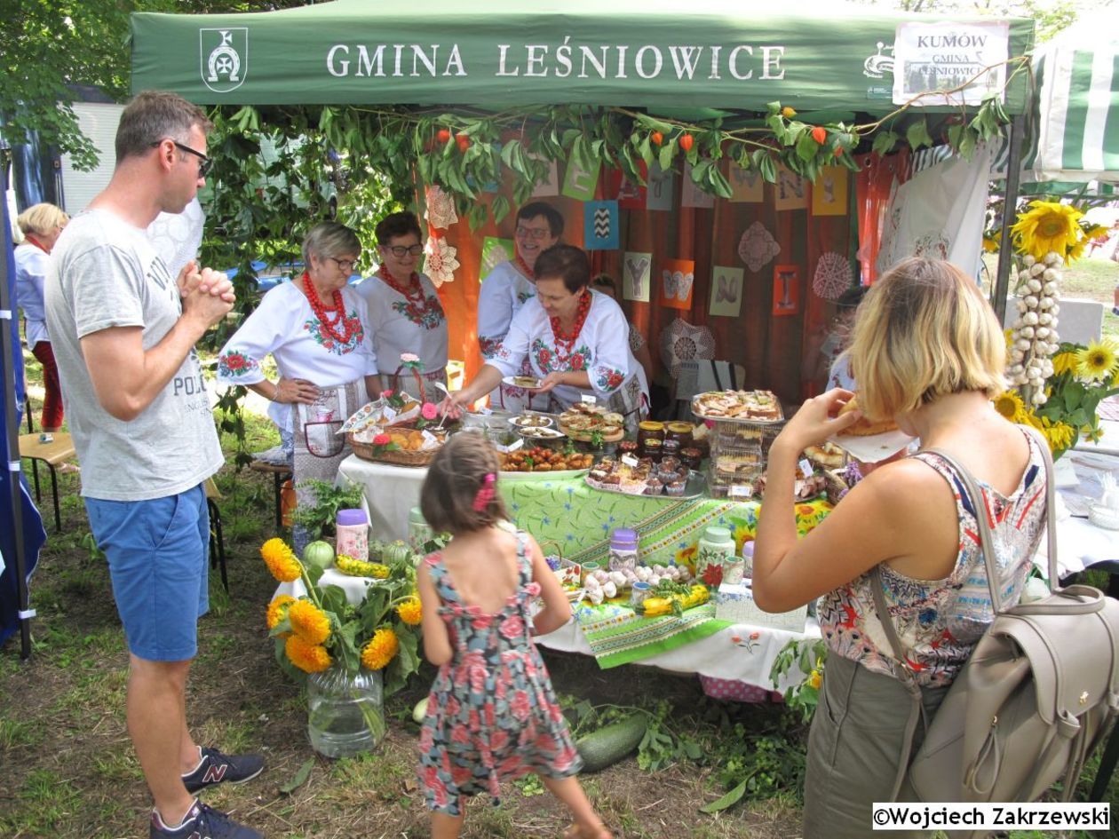  Bolkowanie 2019 (zdjęcie 1) - Autor: Wojciech Zakrzewski