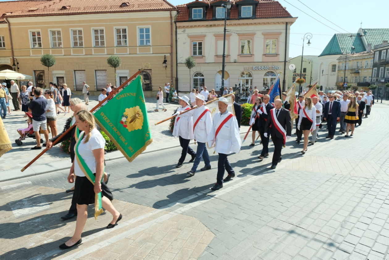  I Wojewódzkie Lubelskie Święto Miodu: przemarsz pszczelarzy z orkiestrą i sztandarami (zdjęcie 1) - Autor: Maciej Kaczanowski