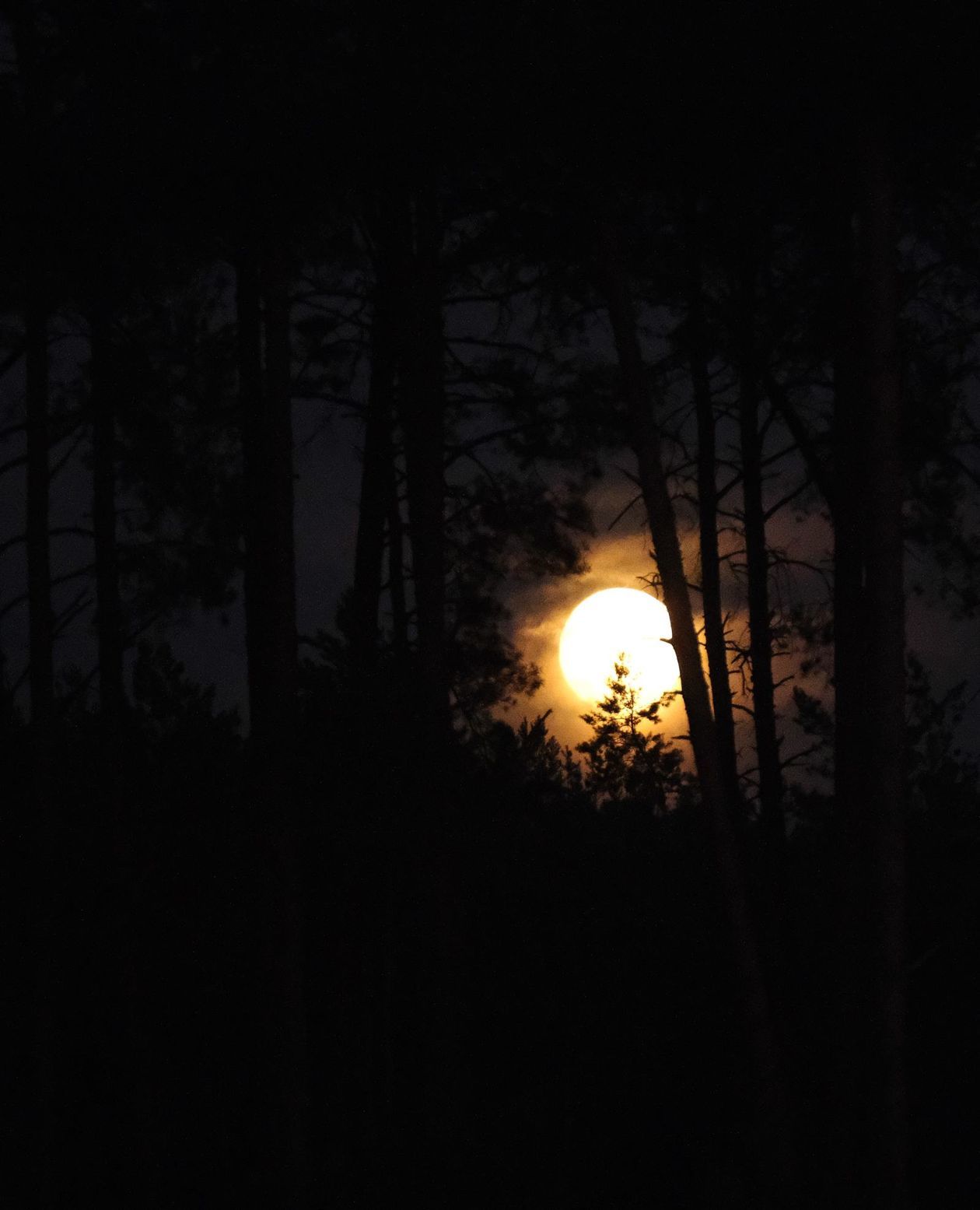 Księżyc - Autor: Maciej Kaczanowski