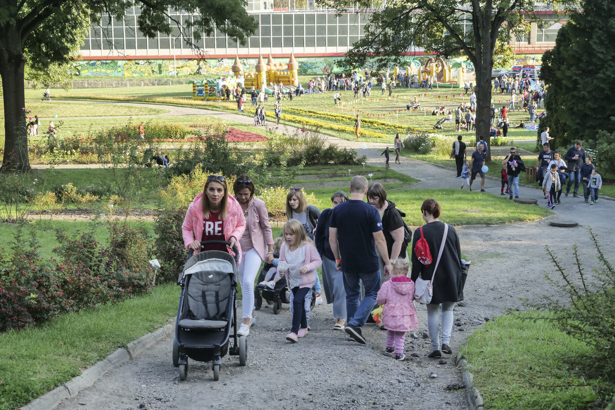  Piknik Pracowników i Absolwentów UMCS (zdjęcie 1) - Autor: Krzysztof Mazur