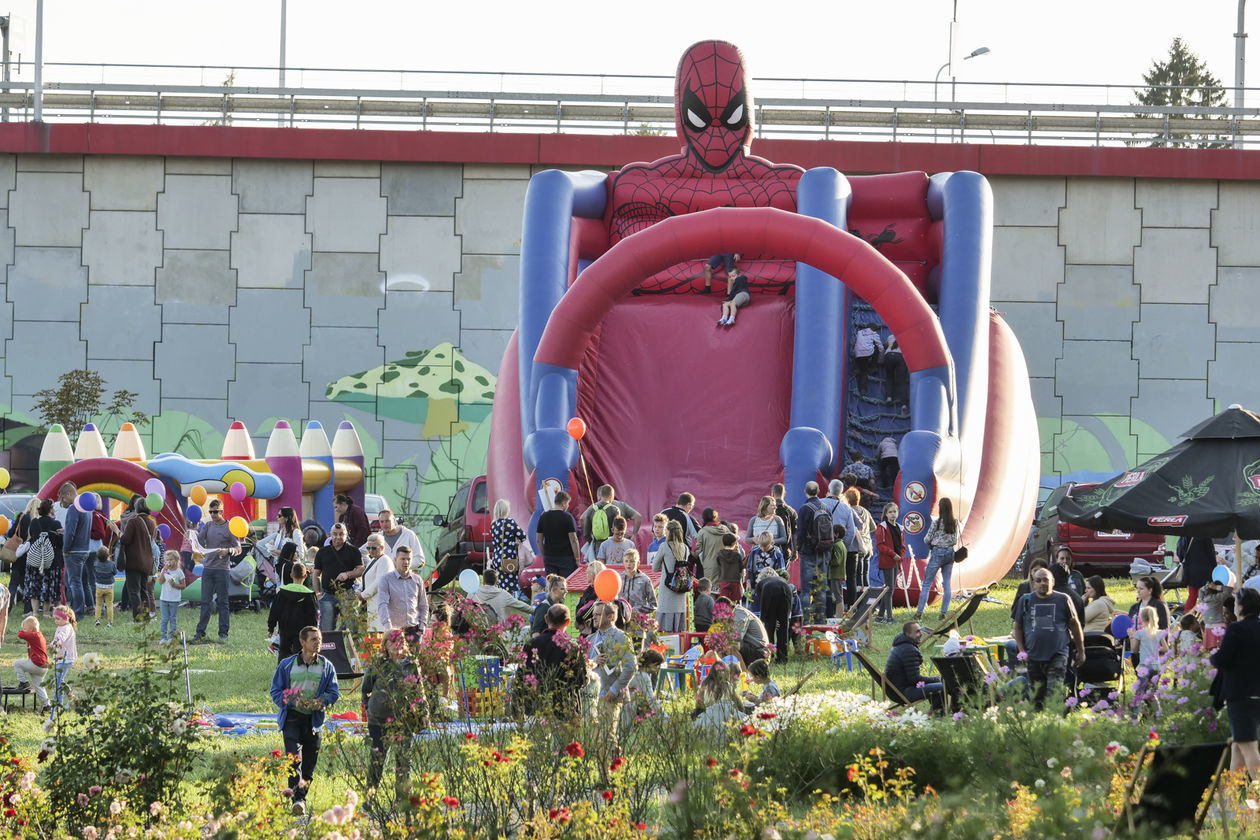  Piknik Pracowników i Absolwentów UMCS (zdjęcie 1) - Autor: Krzysztof Mazur