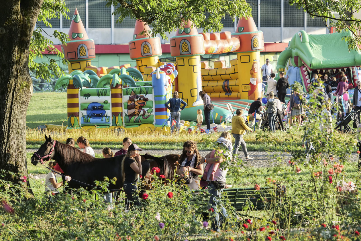  Piknik Pracowników i Absolwentów UMCS (zdjęcie 1) - Autor: Krzysztof Mazur