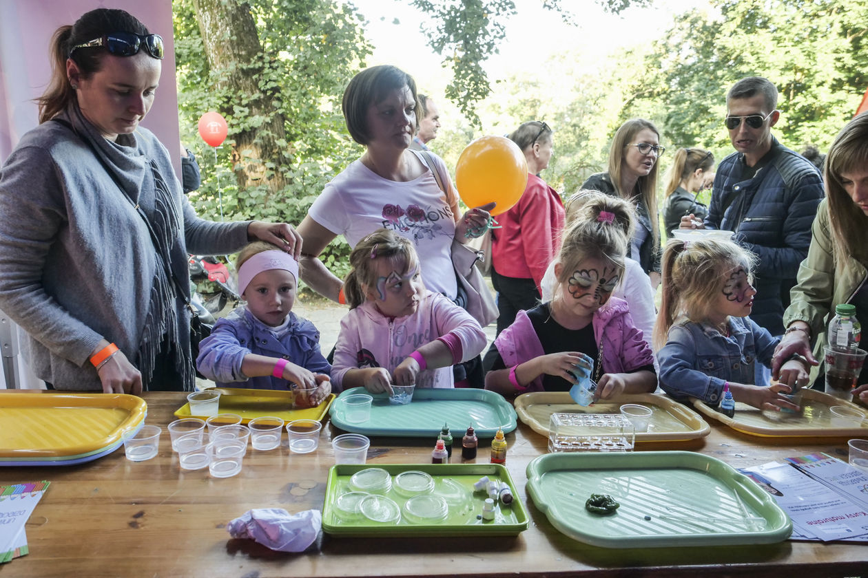  Piknik Pracowników i Absolwentów UMCS (zdjęcie 1) - Autor: Krzysztof Mazur