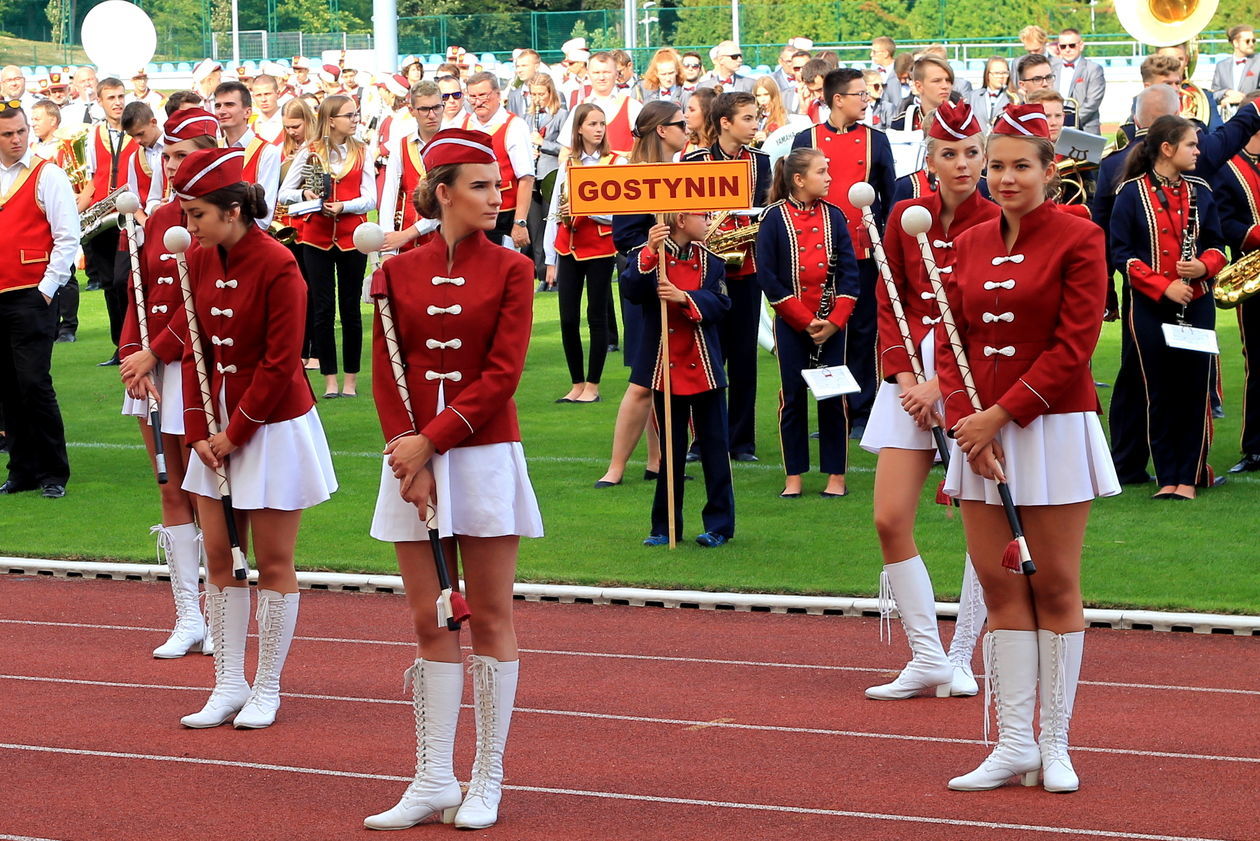  Festiwal Orkiestr Dętych w Puławach, 2019 (zdjęcie 1) - Autor: Radosław Szczęch