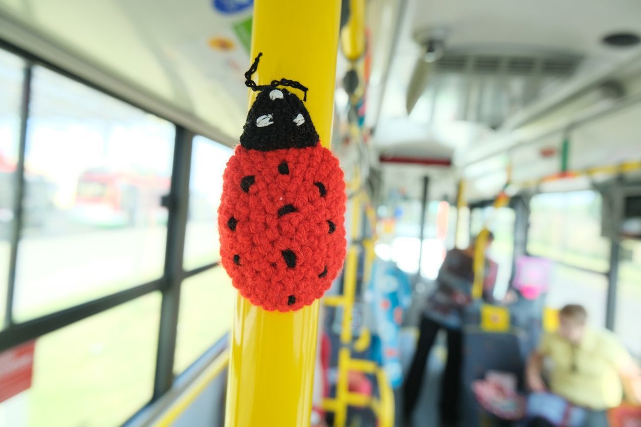 Trolejbus miękki jak sweterek (zdjęcie 1) - Autor: Maciej Kaczanowski