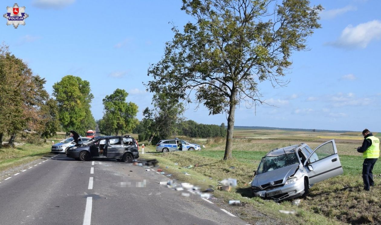  Wypadek Płusy 17.09.2019 (zdjęcie 2) - Autor: KPP Biłgoraj