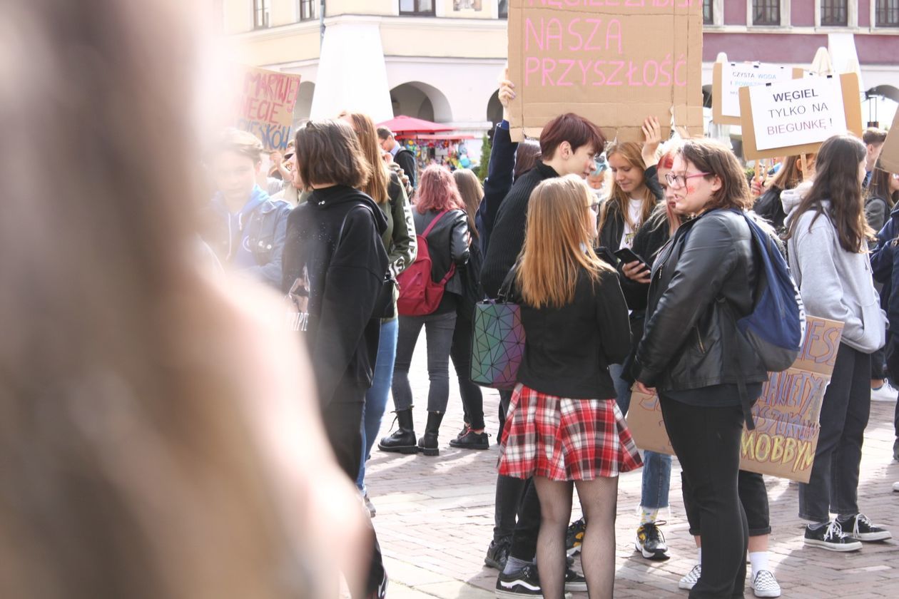  Młodzieżowy Strajk Klimatyczny w Zamościu (zdjęcie 1) - Autor: Kazimierz Chmiel