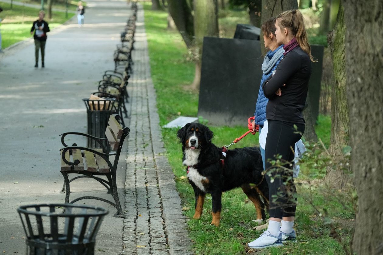  4. Mila Pamięci Ofiar Komunizmu: biegi w Ogrodzie Saskim (zdjęcie 1) - Autor: Maciej Kaczanowski