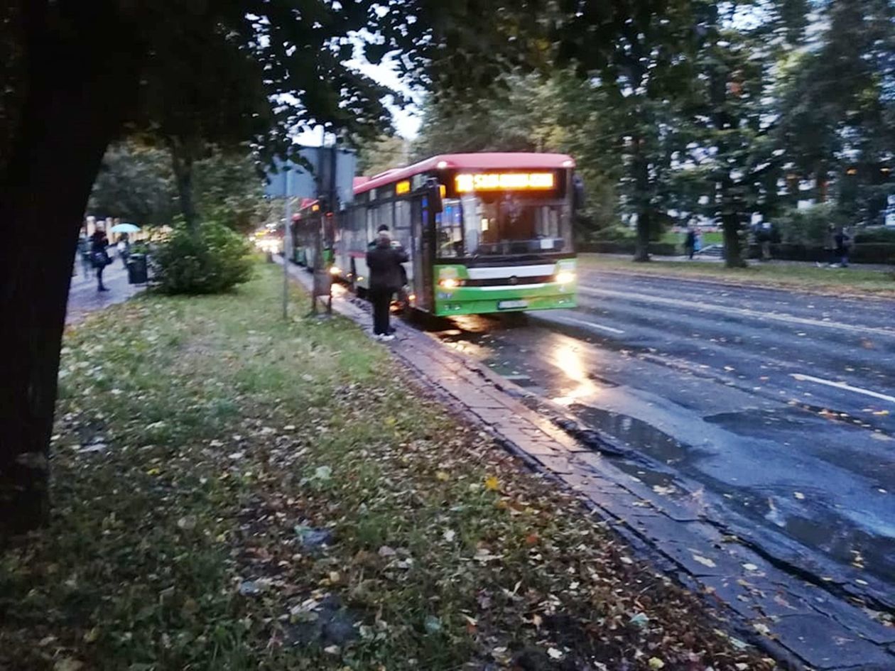  Powalone przez wichurę drzewo spadło na Al. Racławickie w Lublinie (zdjęcie 1) - Autor: Tomasz Maciuszczak