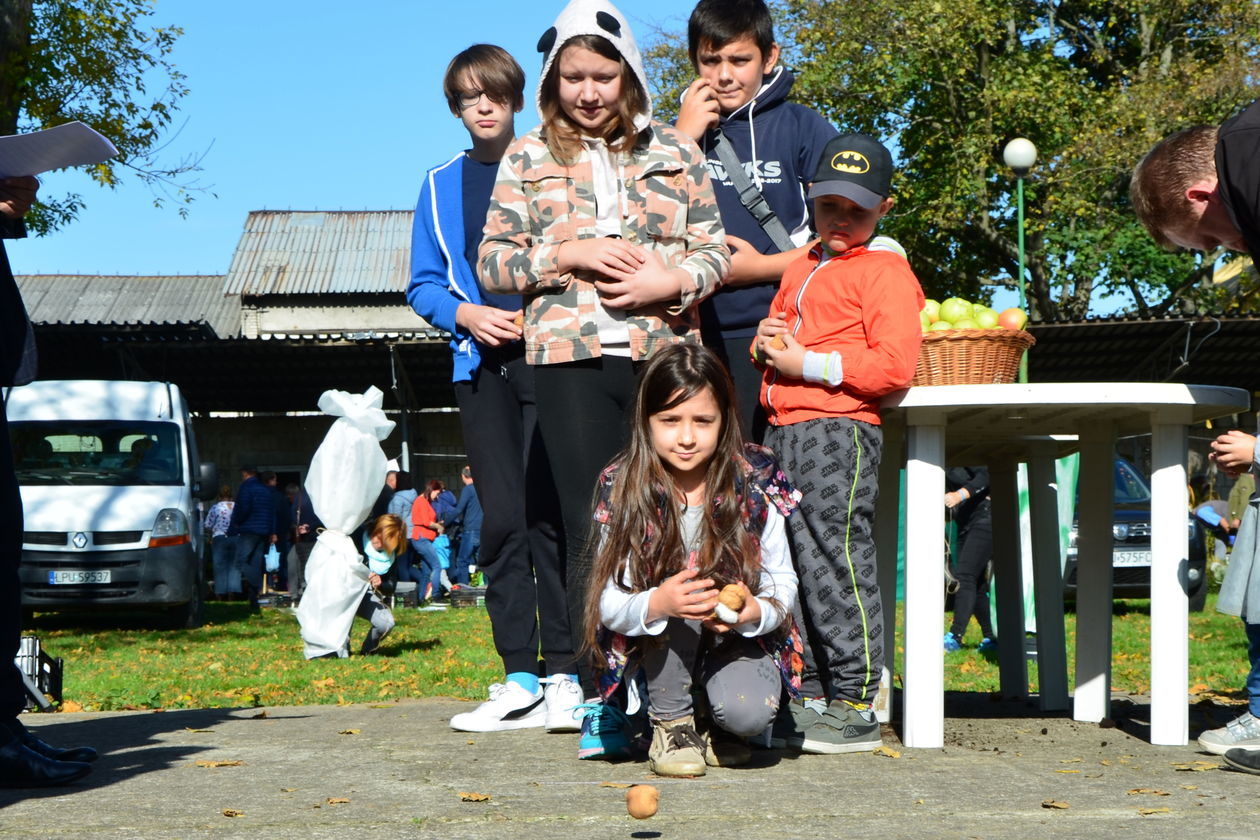  Za nami Jesienny Kiermasz w Końskowoli  (zdjęcie 1) - Autor: LODR