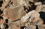 Wykopaliska odkrywające dawny piec do wypalania cegieł  (zdjęcie 5)