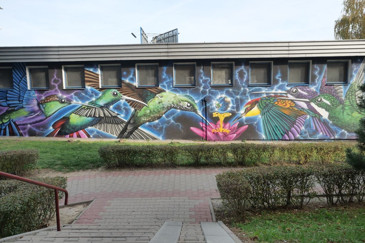  Nowy mural w Lublinie. Ptaki z ulicy Medalionów [zdjęcia] (zdjęcie 3) - Autor: Krzysztof Mazur