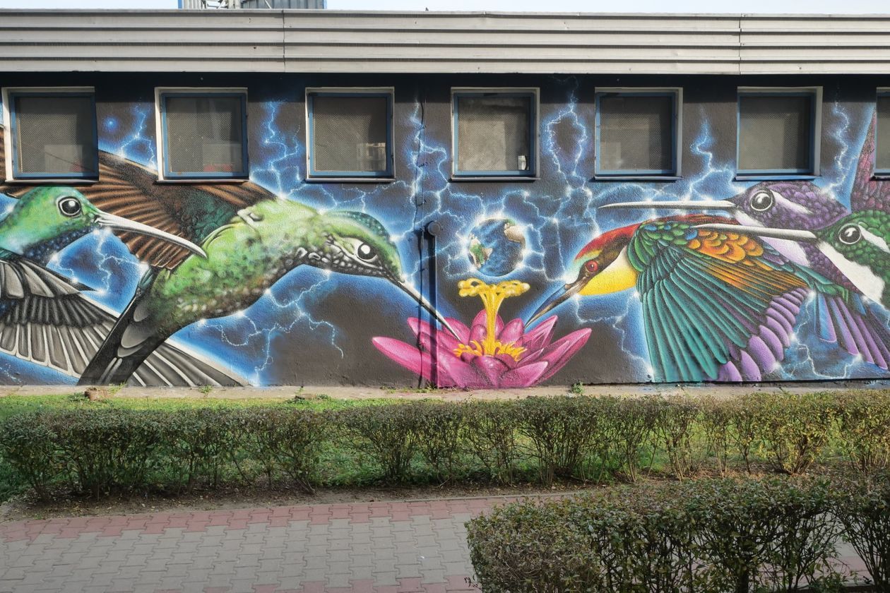  Nowy mural w Lublinie. Ptaki z ulicy Medalionów [zdjęcia] (zdjęcie 10) - Autor: Krzysztof Mazur