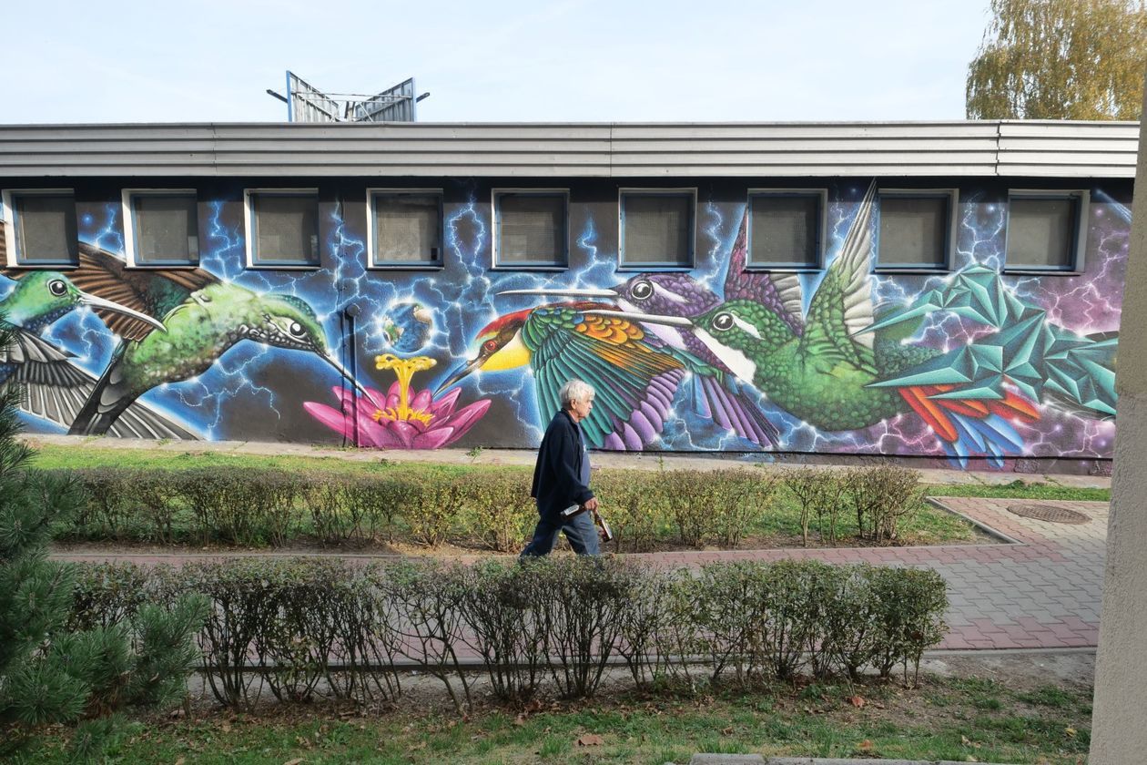 Nowy mural w Lublinie. Ptaki z ulicy Medalionów [zdjęcia] - Autor: Krzysztof Mazur