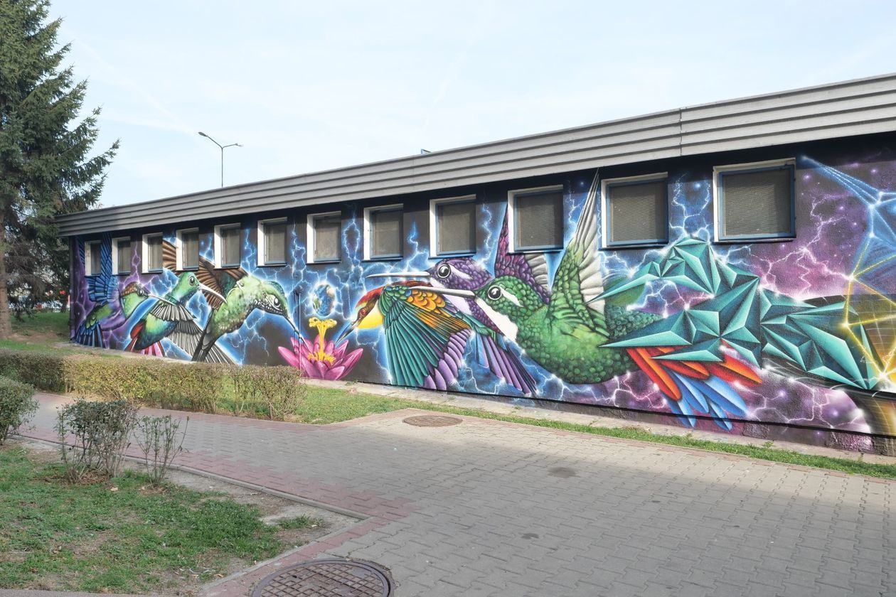 Nowy mural w Lublinie. Ptaki z ulicy Medalionów [zdjęcia]