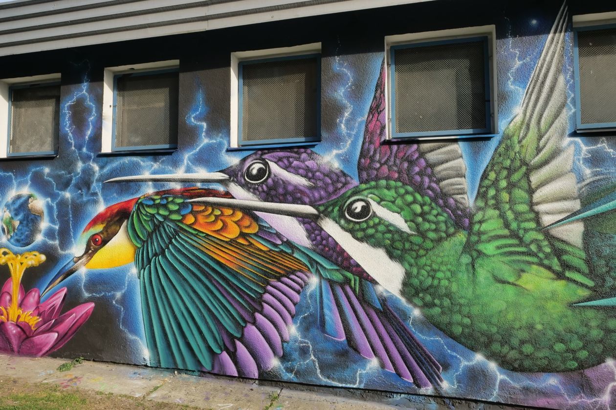  Nowy mural w Lublinie. Ptaki z ulicy Medalionów [zdjęcia] (zdjęcie 8) - Autor: Krzysztof Mazur