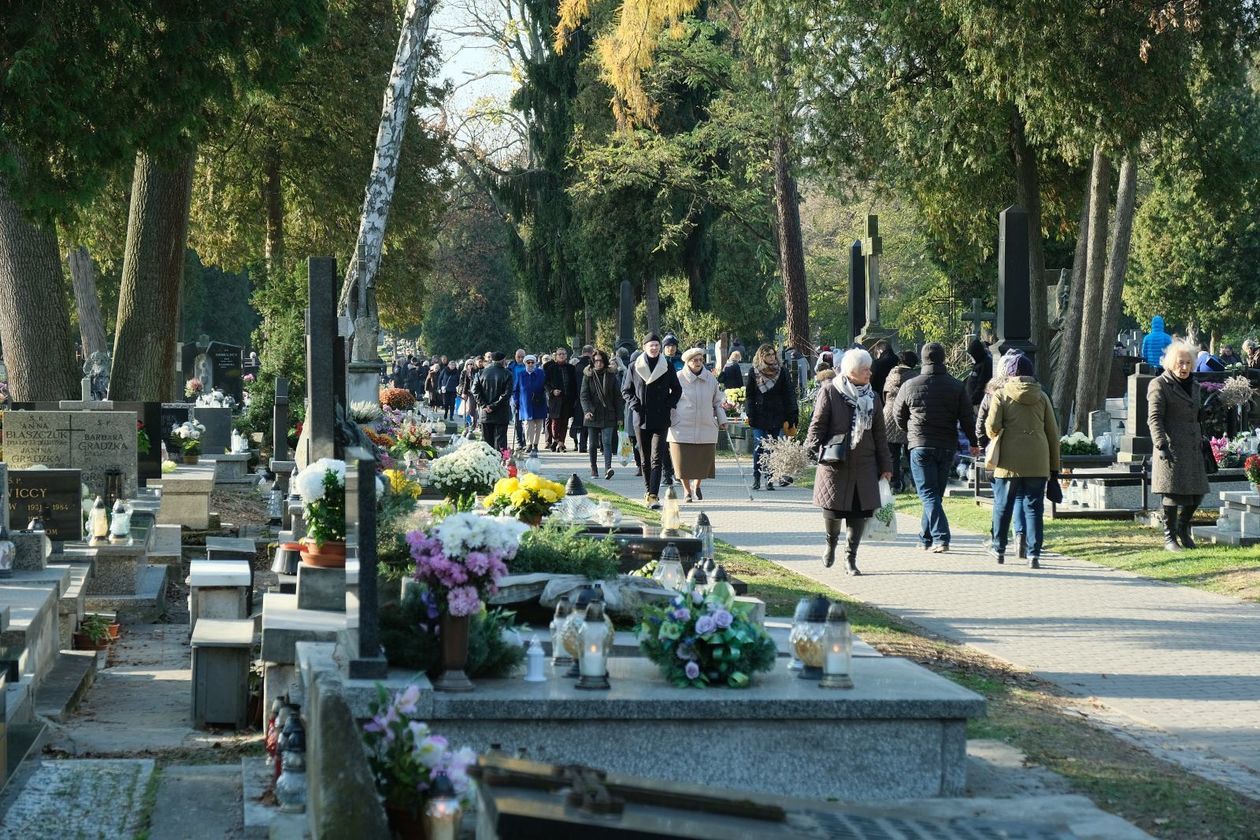  Cmentarz przy ul. Lipowej (zdjęcie 1) - Autor: Maciej Kaczanowski