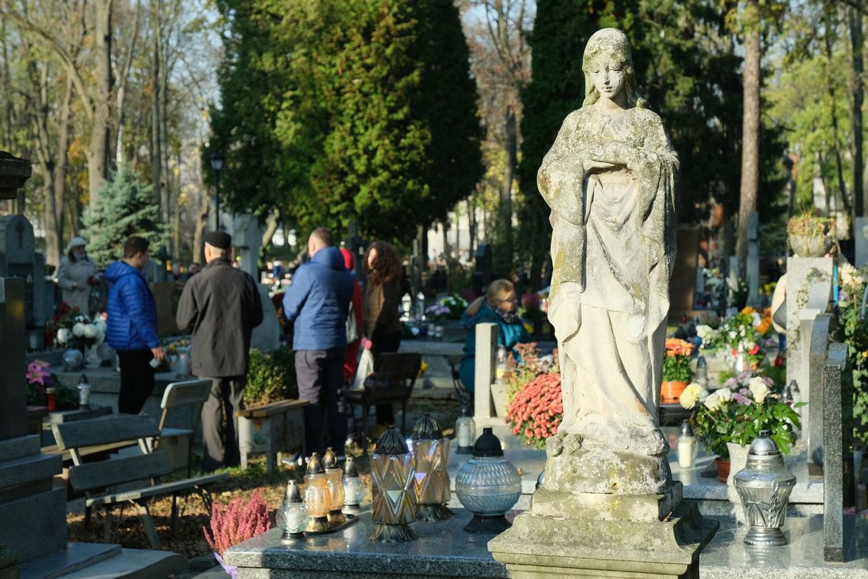  Cmentarz przy ul. Lipowej (zdjęcie 1) - Autor: Maciej Kaczanowski