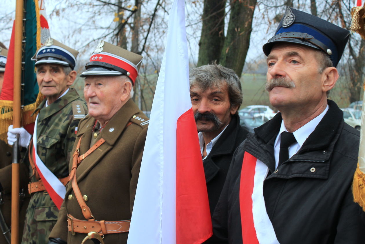  Święto Niepodległości w Puławach (zdjęcie 1) - Autor: Radosław Szczęch