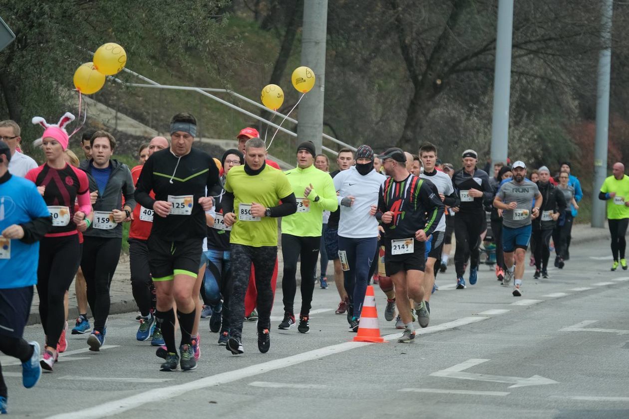  Druga Dycha do Maratonu w Lublinie (zdjęcie 1) - Autor: Maciej Kaczanowski