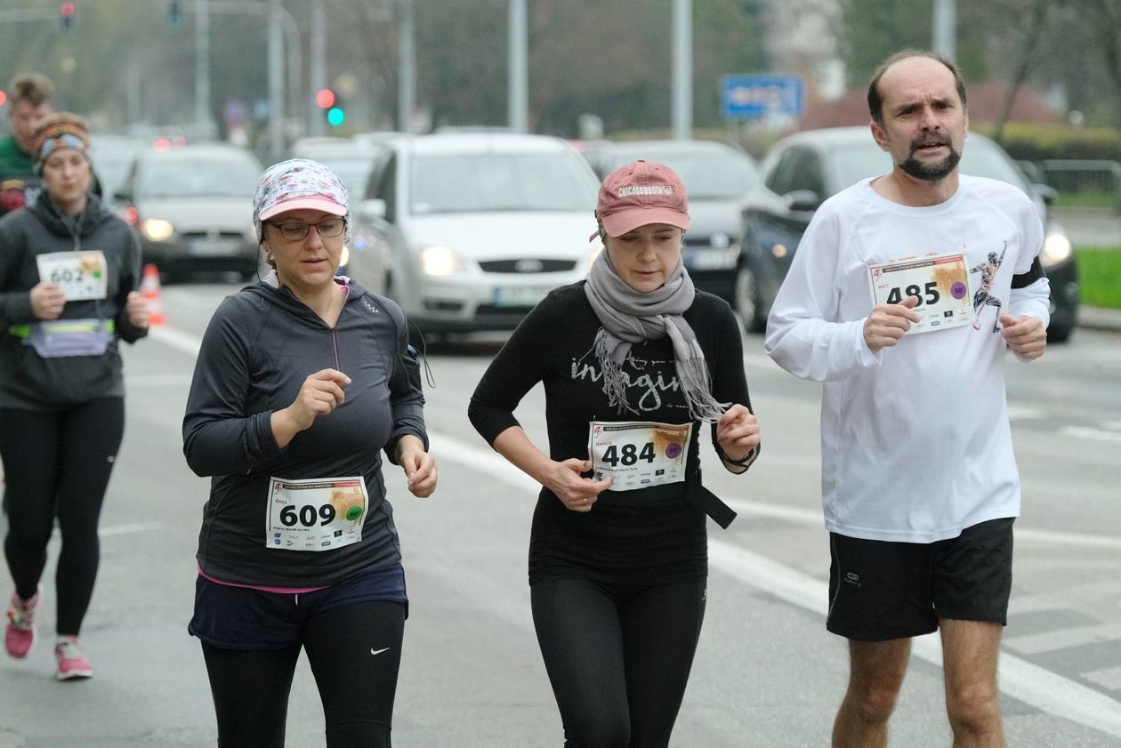  Druga Dycha do Maratonu w Lublinie (zdjęcie 1) - Autor: Maciej Kaczanowski