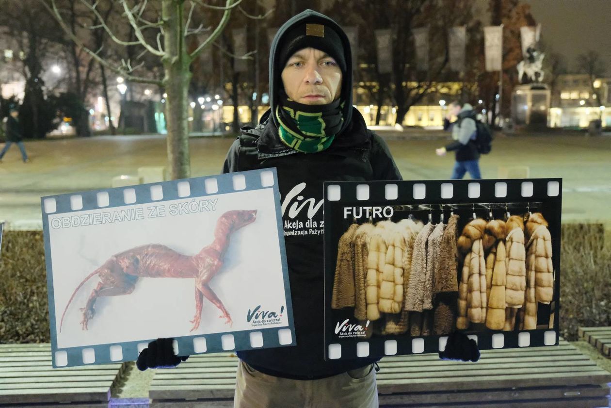 Protest przeciwko ubojowi zwierzat futerkowych - Autor: Maciej Kaczanowski