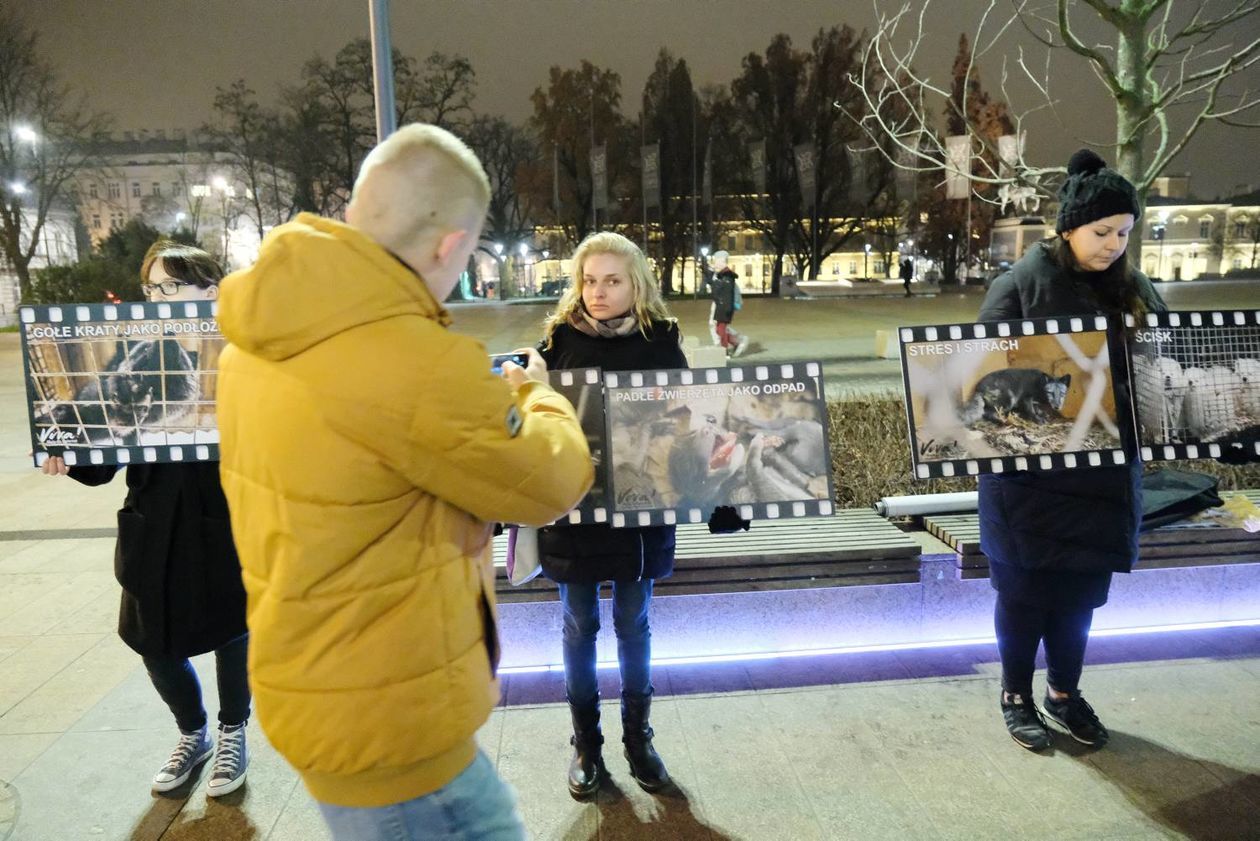  Protest przeciwko ubojowi zwierzat futerkowych (zdjęcie 1) - Autor: Maciej Kaczanowski